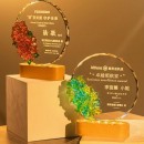 Creative Luminous Crystal Award