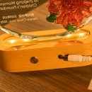 Creative Luminous Crystal Award