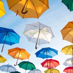 訂製雨傘及雨具 (179)