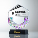 Gradient Crystal Trophy