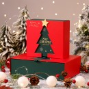 Christmas Gift Box