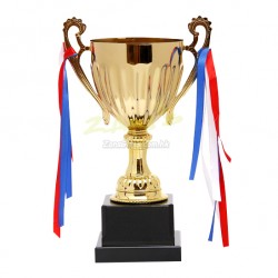 Trophy Award (125)