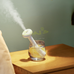 Portable humidifier