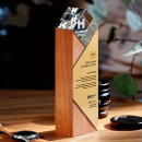 Solid Wood Crystal Trophy