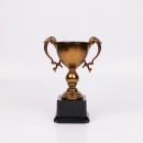 Trophy Cup