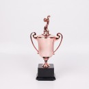 Multi style Trophy