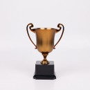 Trophy Cup