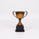 Trophy Cup