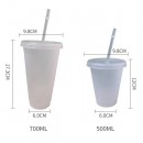 PP Thick Straw Cup