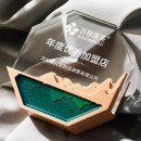 Octagonal Crystal Color Printed Solid Wood Trophy