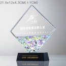 Gradient Crystal Trophy