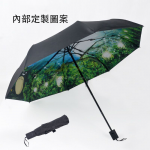 Customized Umbrella with Internal Pattern