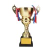 Trophy Cup