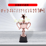 Multi style Trophy