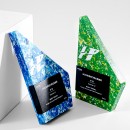Environmental Protection Award