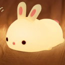 Little rabbit pats the light