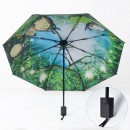 Customized Umbrella with Internal Pattern