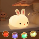 Little rabbit pats the light