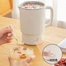 Folding Electric Kettle