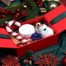 Christmas Gift Box